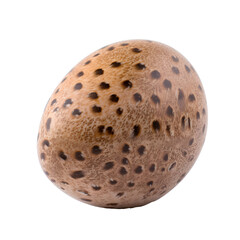 Brown quail egg, isolated on transparent background, PNG, 300 DPI