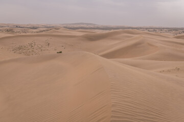 Fototapeta na wymiar Corrosive sand in the Gobi desert in Inner Mongolia region, China