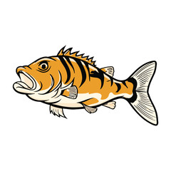 Hand drawn tuna cartoon illustration
Vector Bass fish

