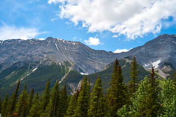 Obraz premium The rocky mountains of Alberta are surrounded by coniferous forests on a sunny summer day.