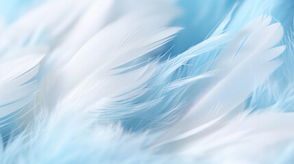 Delicate blue feathers creating a soft and airy background, embodying tranquility and lightness.