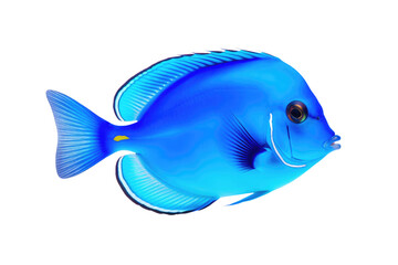 Exotic Blue Tang Fish Design Isolated on Transparent Background