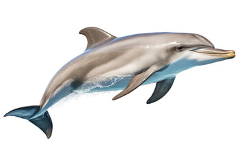 Aquatic Beauty: Dolphin Leap Isolated on Transparent Background