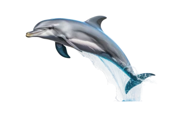 Schilderijen op glas Oceanic Acrobat: Dolphin Jump Isolated on Transparent Background © Yasir