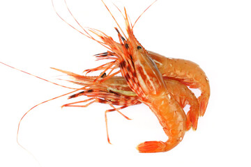 fresh red shrimp as seafood background