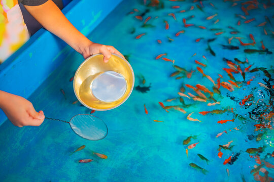 金魚すくい