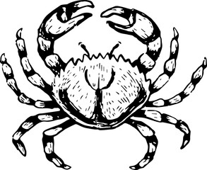 Hand Drawn Sea Animal