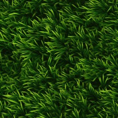 Grass seamless pattern texture