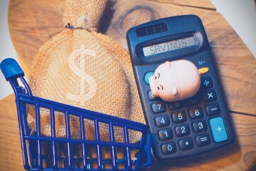 Piggy bank with a calculator , a shopping cart . Concept of savings.