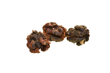 walnut isolated on white background