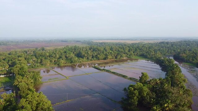 Rice fields in Asia,Field edges, Land prepared for cultivation ,The field has been plowed and watered for cultivation,  , High angle shot , aerial shoot
