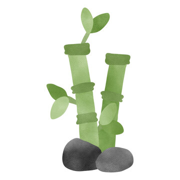 Bamboo clip art preview