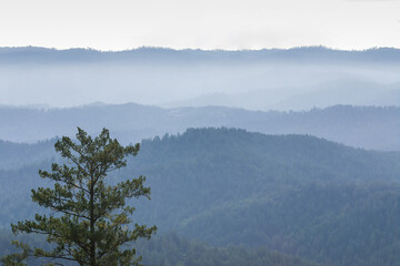 Sweeping Views of Santa Cruz Mountains via Castle Rock State Park in Northern California.