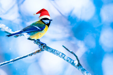 Tit bird in Santa's New Year's hat in a beautiful winter forest. Winter frosty background with...