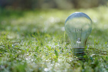Light bulb in the field on a meadow of green grass with dewdrops illuminated by sunlight renewable...