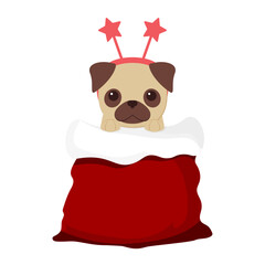 vector cute pug sitting in a red gift bag. a pug in a headband sits in a sack as a New Year's gift