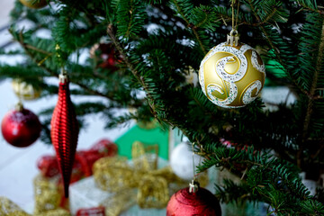 Christmas ornament hanging on pine tree.