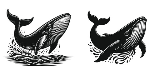 Blue whale, jumping in the ocean humpback whale set, wave and sea fish in vintage style, mascot logo design, vector illustration. - obrazy, fototapety, plakaty