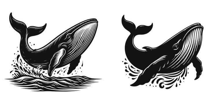 Blue whale, jumping in the ocean humpback whale set, wave and sea fish in vintage style, mascot logo design, vector illustration.