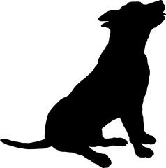 Dog sitting silhouette Breeds Bundle Dogs on the move. Dogs in different poses.
The dog jumps, the dog runs. The dog is sitting. The dog is lying down. The dog is playing
