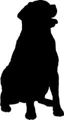 Dog Rottweiler Labrodore sitting silhouette Breeds Bundle Dogs on the move. Dogs in different poses.
The dog jumps, the dog runs. The dog is sitting. The dog is lying down. The dog is playing

