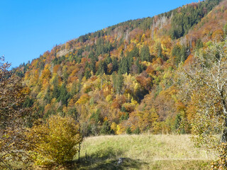 view of the mountain with trees with red yellow and orange foliage