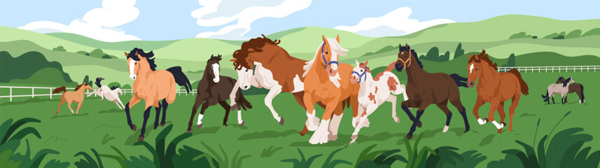 thoroughbred horses herd at equine ranch. Stallions group frolicking outdoors at farm. Many domestic animals of different breed at countryside, rural landscape panorama. Flat vector illustration - obrazy, fototapety, plakaty