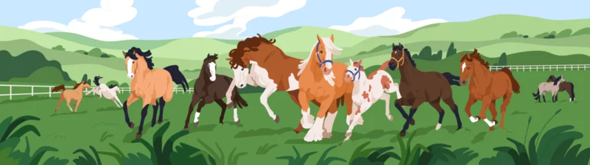 Fotobehang thoroughbred horses herd at equine ranch. Stallions group frolicking outdoors at farm. Many domestic animals of different breed at countryside, rural landscape panorama. Flat vector illustration © Good Studio