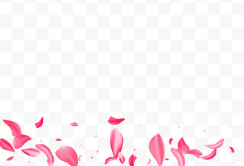 Red Lotus Summer Vector Transparent Background.