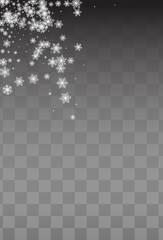 White Snow Vector Transparent Background. Falling
