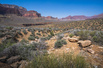 Fototapeta na wymiar hiking the tonto trail in the grand canyon national park, arizona, usa