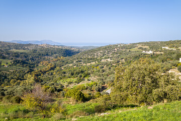 Fototapeta na wymiar The green countryside among the mountains , Europe, Greece, Crete, Argiroupoli, towards Rethymnon, in summer, on a sunny day.