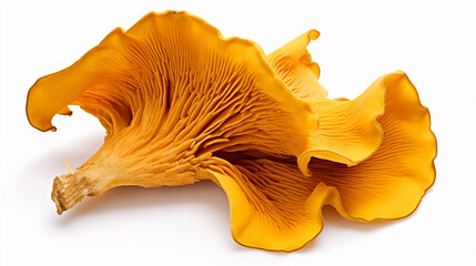 Raw fresh chanterelle mushrooms isolated on white background. Generative Ai - obrazy, fototapety, plakaty
