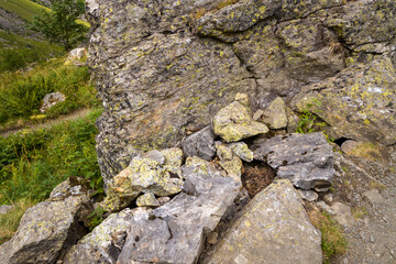 A snake on a stone in the countryside in the mountains , Europe, France, Occitanie, Hautes-Pyrenees, in summer on a sunny day.