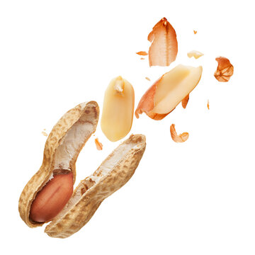 Peanut crushed into pieces