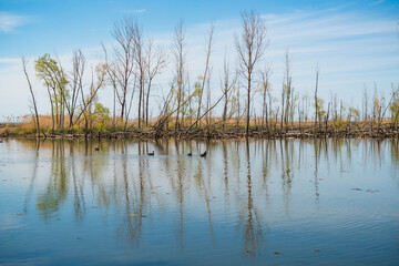 The Lake Erie CommunitThe Coastline of Lake Erie Community Parky Park