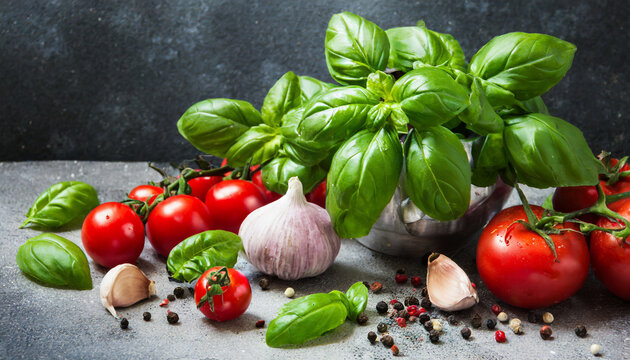 fresh basil, tomatoes, garlic and other vegetables on a dark blue background