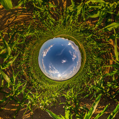 blue hole sphere little planet inside green grass round frame background