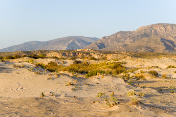 The nature reserve and its fine white sand, in Europe, Greece, Crete, Elafonisi, By the Mediterranean Sea, in summer, on a sunny day.