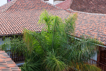 Terracotta tiles on roof with palm tree in the courtyard in Tenerife, Canary islands. Spain