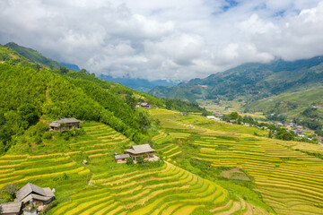 Fototapeta na wymiar The green and yellow rice terraces on the green tropical mountains, in Asia, Vietnam, Tonkin, Sapa, towards Lao Cai, in summer, on a cloudy day.