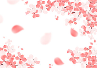 Cherry Blossom Pink Flowers Background. Sakura Bloom Frame Illustration. Spring Flower Border. 