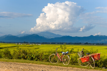 A bicycle by the side of a path in the green and yellow rice fields, Asia, Vietnam, Tonkin, Dien...