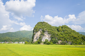 The green rice fields in the middle of forests and karst mountain peaks, in Asia, Vietnam, Tonkin, between Son La and Dien Bien Phu, in summer, on a sunny day.