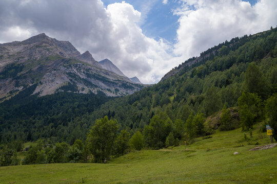 The green countryside among the mountains , Europe, France, Occitanie, Hautes-Pyrenees, in summer on a sunny day.