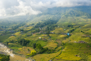 The traditional village with green and yellow rice fields in the green mountains, Asia, Vietnam, Tonkin, Sapa, towards Lao Cai, in summer, on a cloudy day.