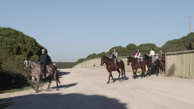 women riding horses crossing road in the countryside