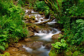 A Creek and small waterfall in the capathian at Hunedoara in Romania