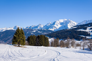 A path in front of the Mont Blanc massif in Europe, France, Rhone Alpes, Savoie, Alps, in winter, on a sunny day.