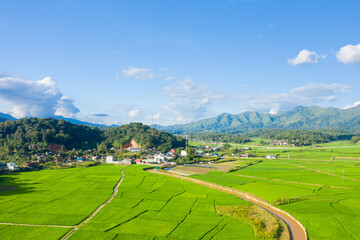 Fototapeta na wymiar A traditional village by a lake and flooded rice fields in the middle of the mountains, Asia, Vietnam, Tonkin, Dien Bien Phu, in summer, on a sunny day.
